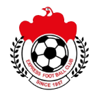 艾斯帕勒斯队徽